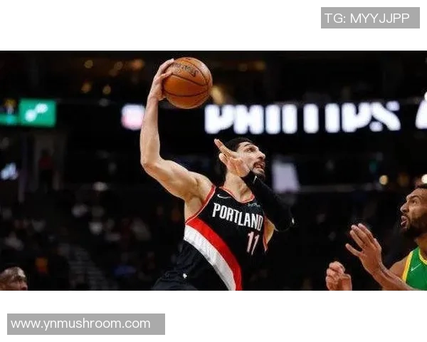 国王与勇士的巅峰对决谁能在赛季中脱颖而出赢得荣耀与胜利