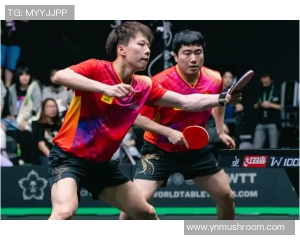 帖雅娜VS挑战赛揭幕战精彩回顾与选手表现分析