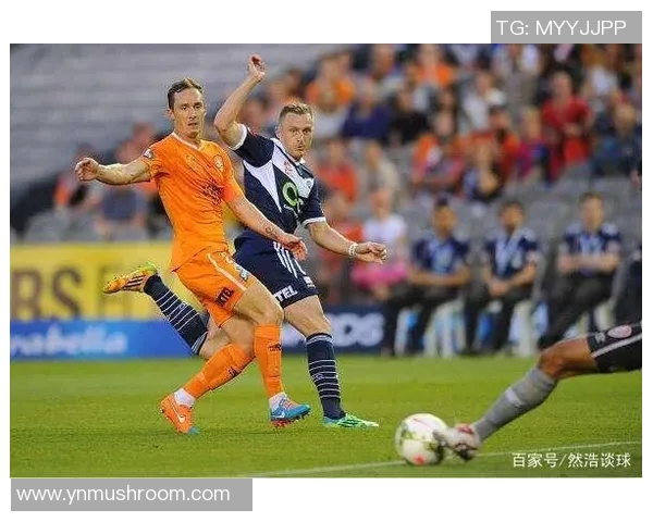 布里斯班对决墨尔本胜利精彩赛事回顾与分析